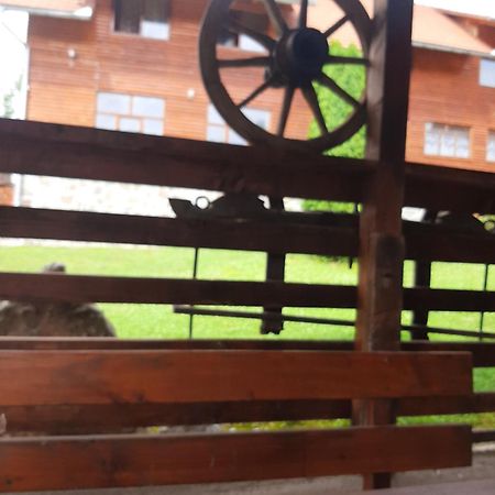 Pensiunea Codru Sălciua de Jos Екстериор снимка