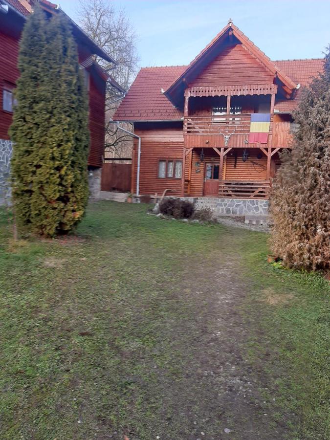Pensiunea Codru Sălciua de Jos Екстериор снимка