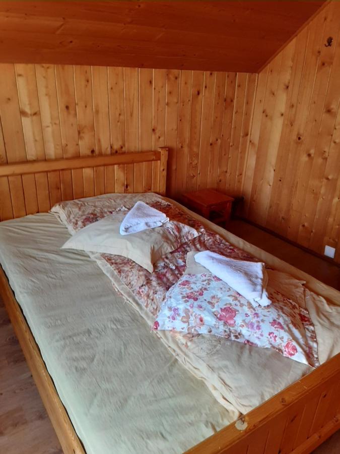 Pensiunea Codru Sălciua de Jos Екстериор снимка