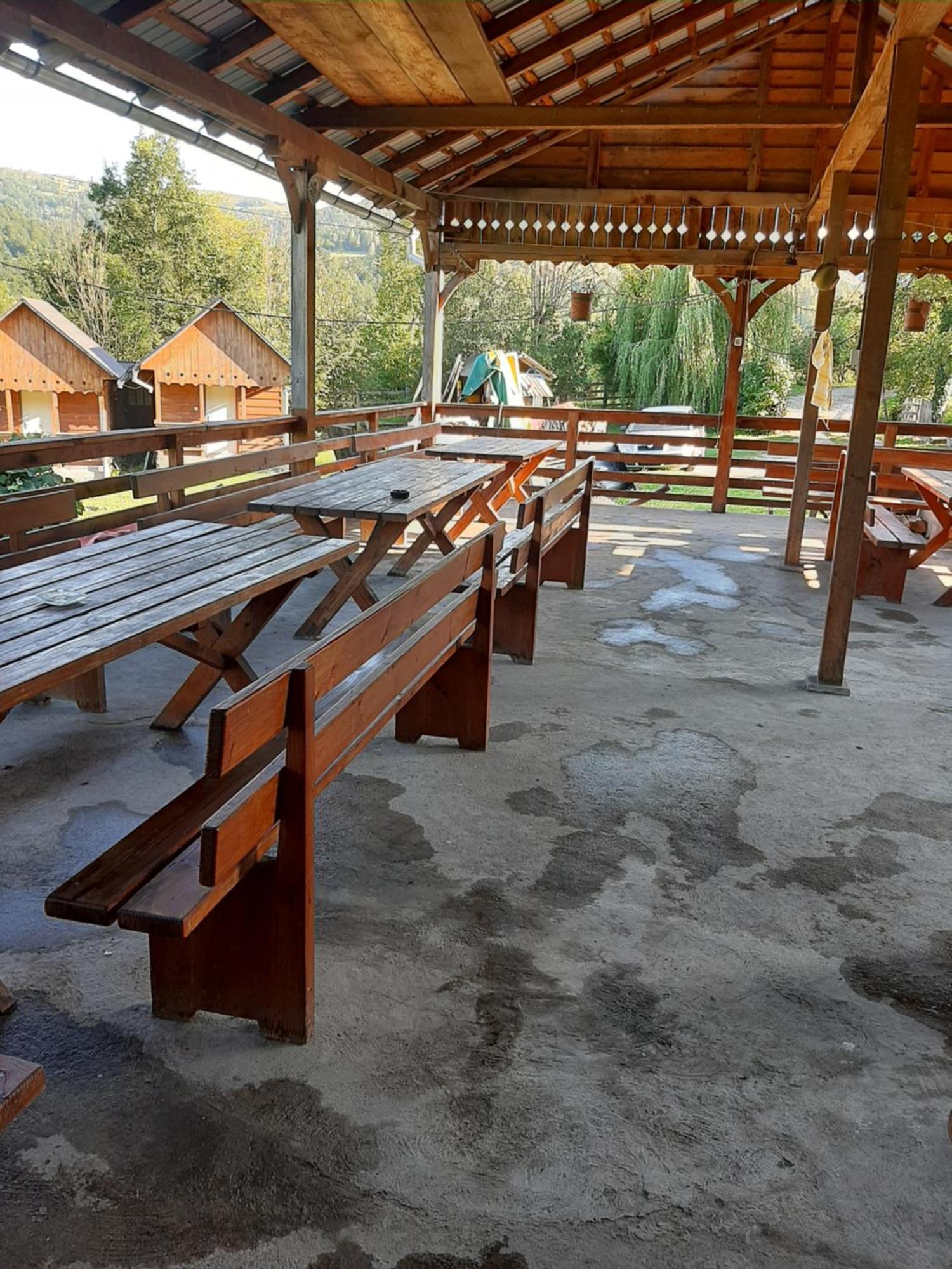 Pensiunea Codru Sălciua de Jos Екстериор снимка